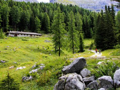 002-Auf dem Weg zur Vaglianella-Alm